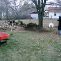 Dale raking the yard on the weekend before Trivia