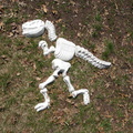 The kids dug up a dinosaur skeleton  