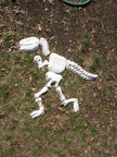 The kids dug up a dinosaur skeleton  
